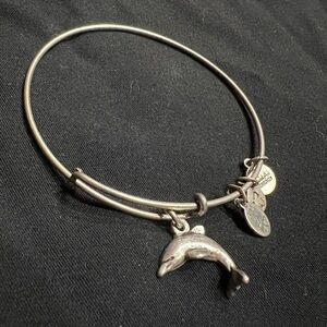 Alex and Ani Dolphin Charm Bracelet